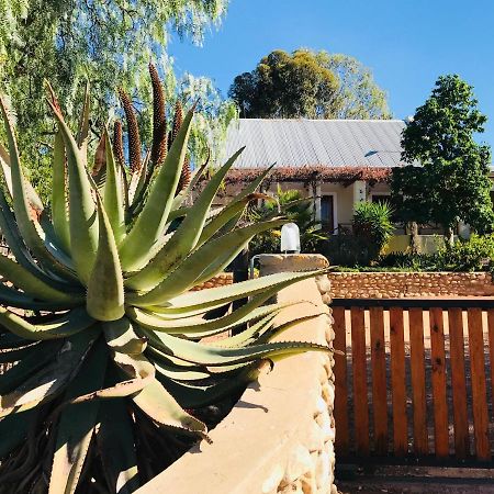Koedoeskloof Guesthouse Ladismith Kültér fotó