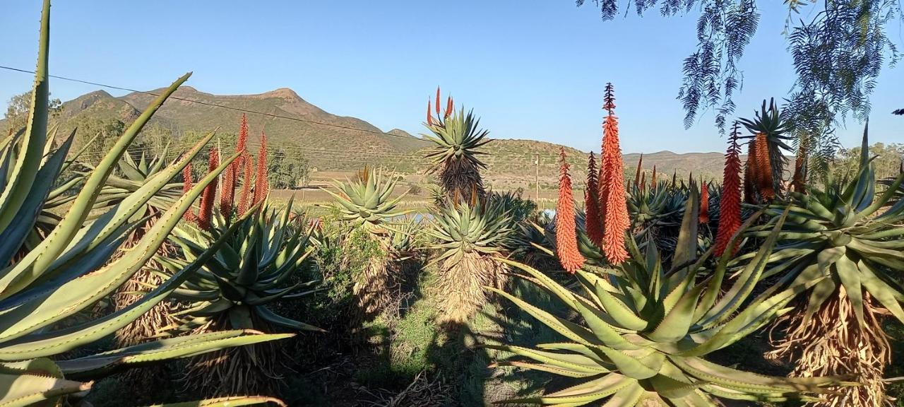 Koedoeskloof Guesthouse Ladismith Kültér fotó